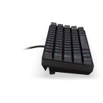 Thock Compact BR RGB WRL key USB ENDORFY