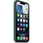 iPhone 16e Silico. Case Lake Green APPLE