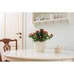 LAMELA, květináč  MAGNOLIA JERSEY, průměr 360 mm, krémový